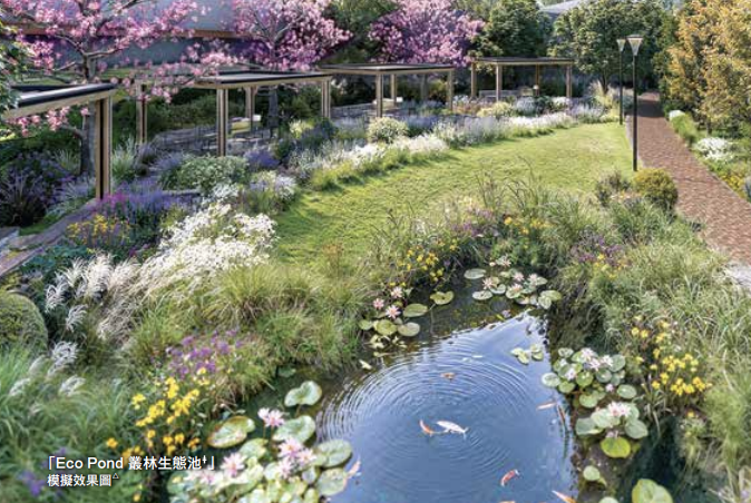 Eco Pond 叢林生態池 叢林生態池 · 自然共生